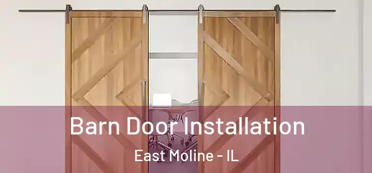 Barn Door Installation East Moline - IL