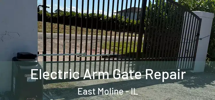Electric Arm Gate Repair East Moline - IL
