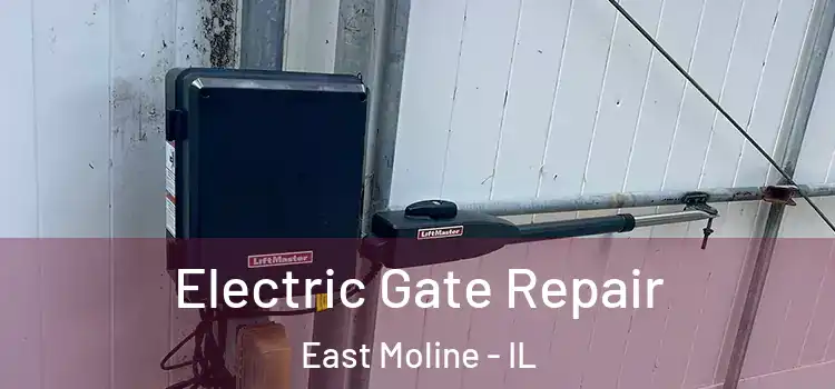 Electric Gate Repair East Moline - IL