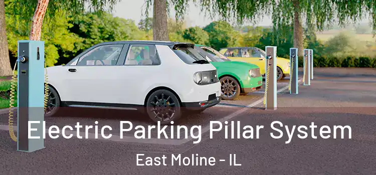 Electric Parking Pillar System East Moline - IL