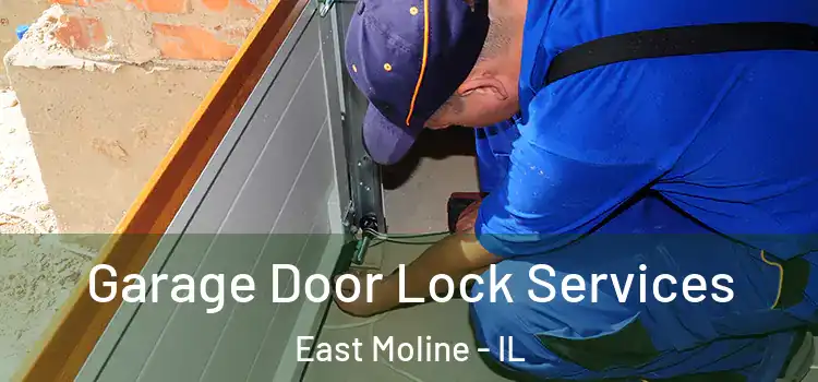Garage Door Lock Services East Moline - IL