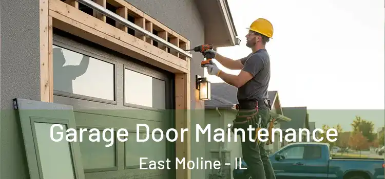 Garage Door Maintenance East Moline - IL