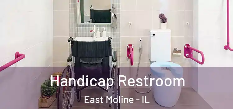 Handicap Restroom East Moline - IL