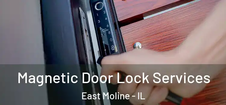 Magnetic Door Lock Services East Moline - IL