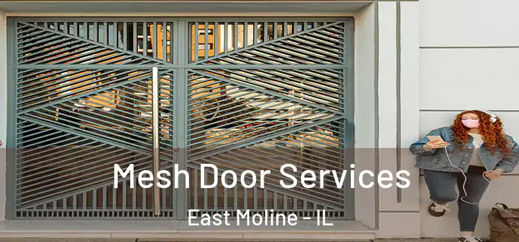 Mesh Door Services East Moline - IL